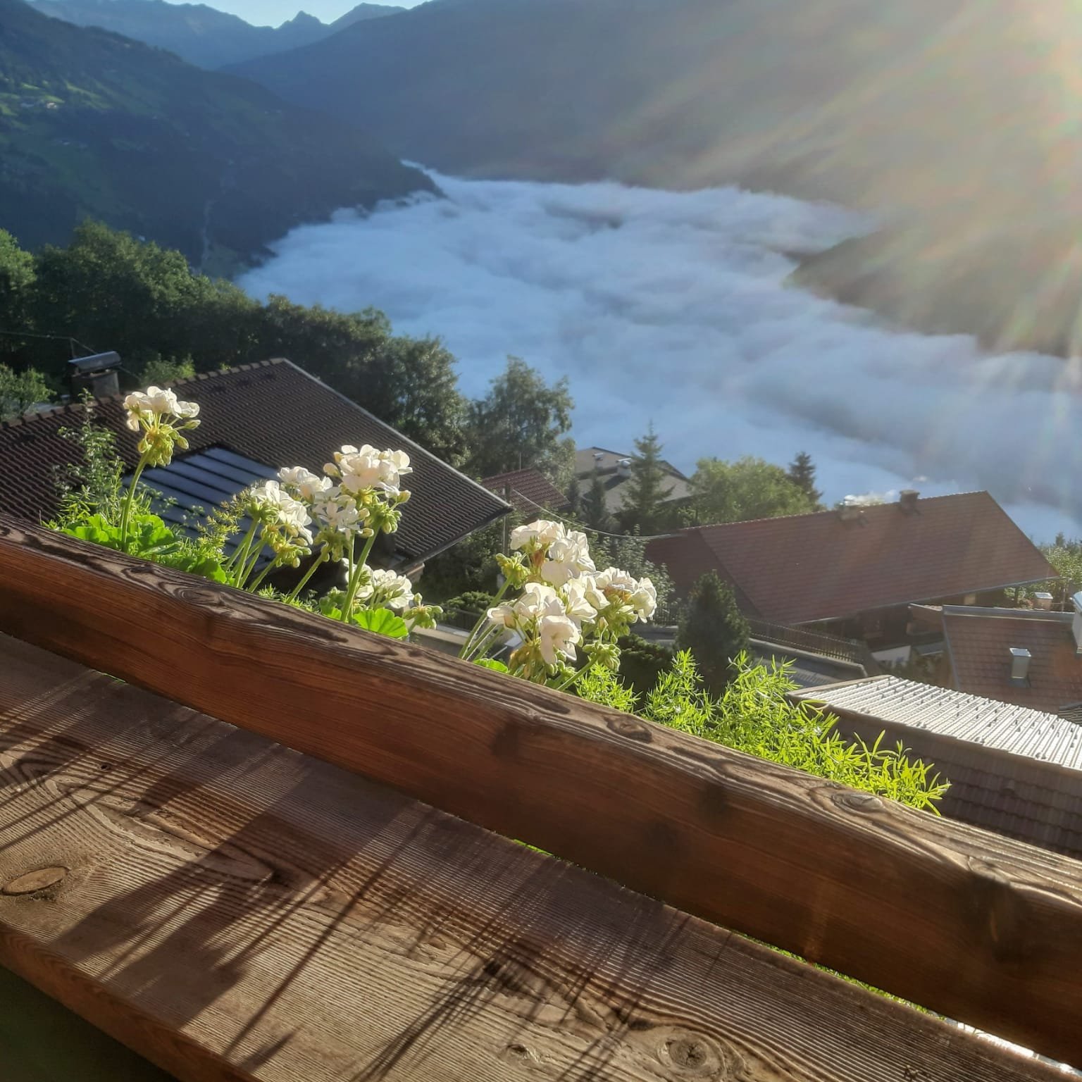 20241021_084856000_iOS_2_w4g5ws