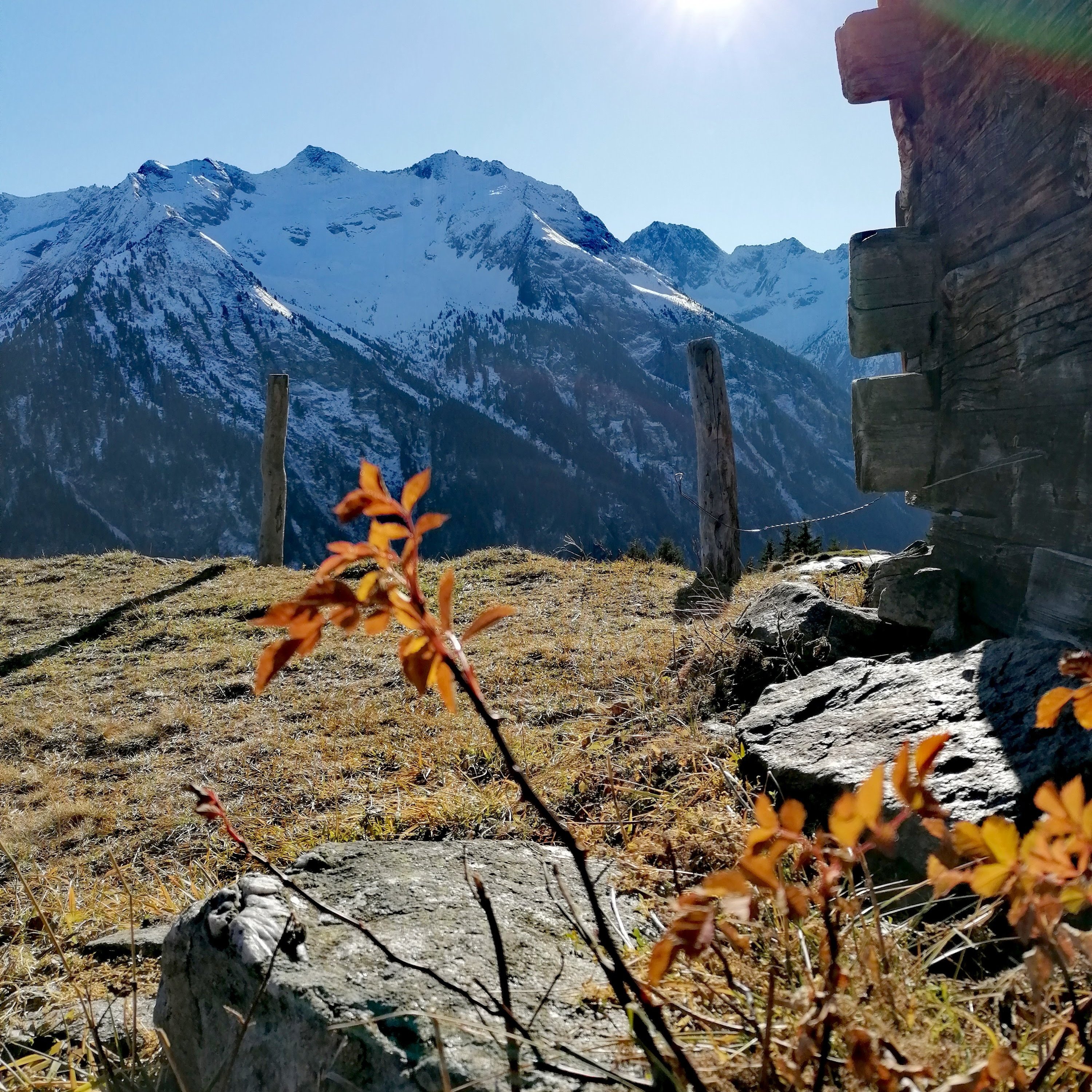 IMG_20211124_152707_ykq103