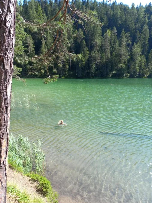 Ausstattung der Unterkunft