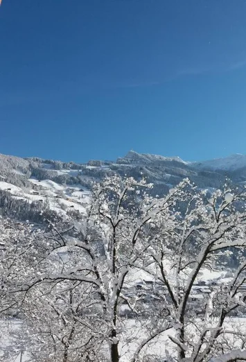 Ausstattung der Unterkunft