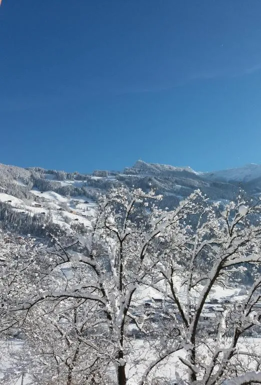 Ausstattung der Unterkunft